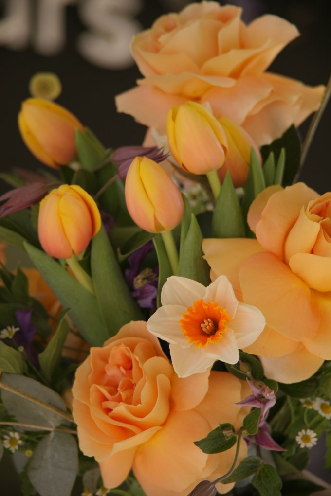 Douceur printanière photo 6